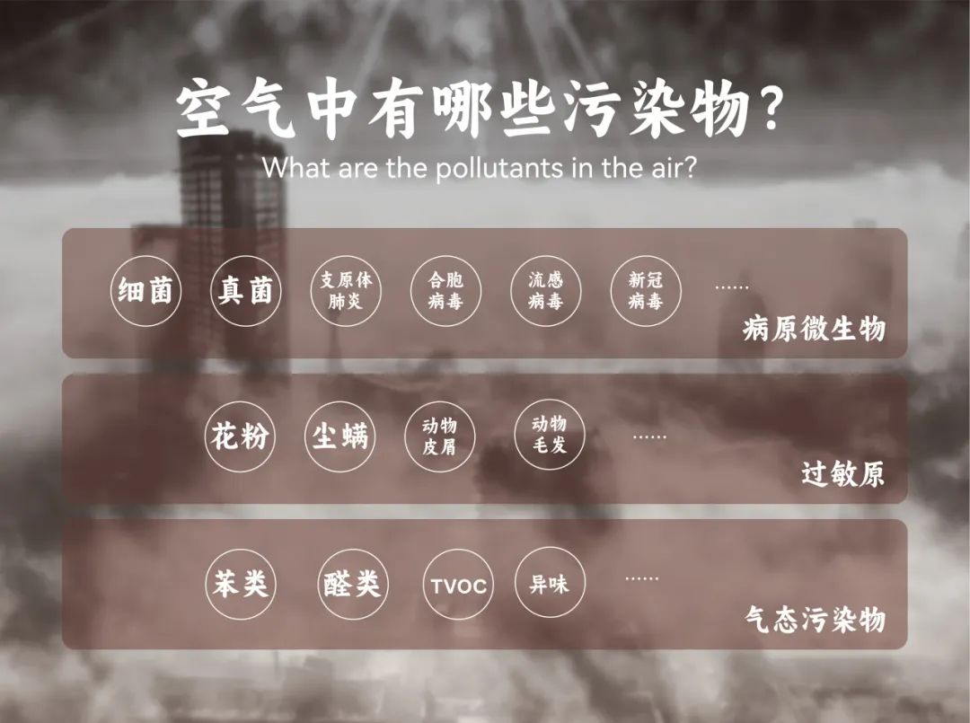 e18708210bf77ef29c62fb7a3d474742.jpg e18708210bf77ef29c62fb7a3d474742.jpg